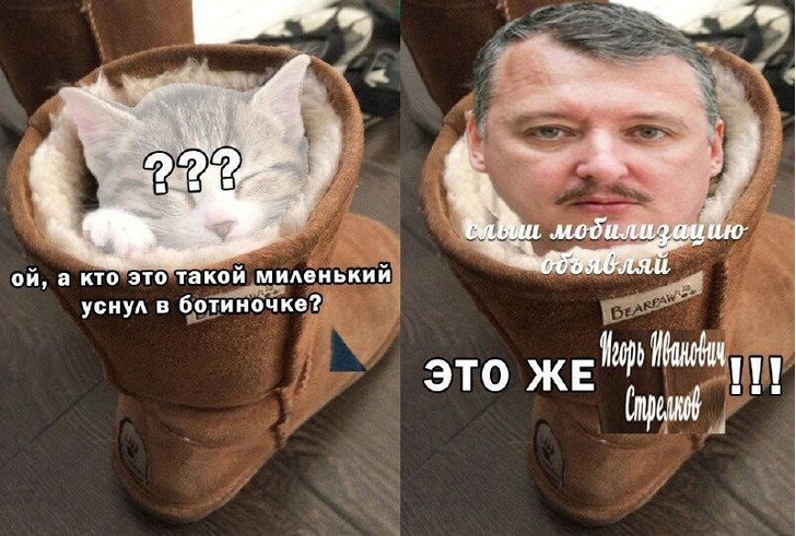 Миниатюра 7